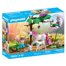 Playmobil Bygges�t Fantasy + Magic 71839 box