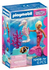 Playmobil Bygges�t Fantasy + Magic 72109 box
