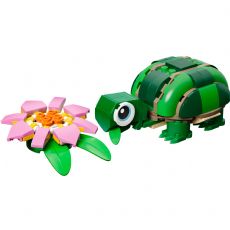 Skildpadde med �kandeblomst