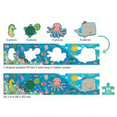 Mudpuppy banner