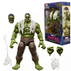 Spider-Man Marvel Legends Series Hulk