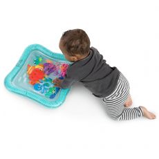 Baby Einstein Baby Leget�j 168473 box