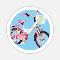 Disney Princess Childrens Bike